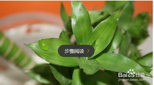 姘村吇瀵岃吹绔瑰吇孌栨柟娉曚笌娉ㄦ剰浜嬮」